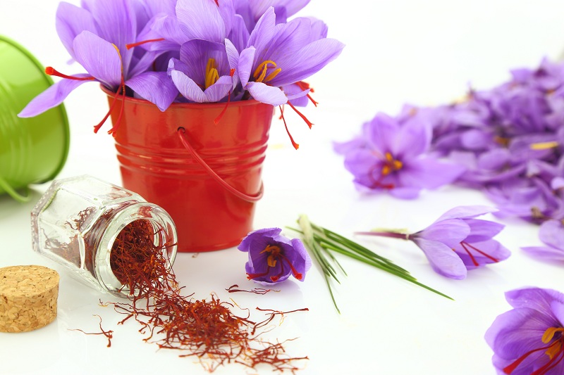 20 Best Benefits of Saffron (Kesar) for Skin, Hair and Health