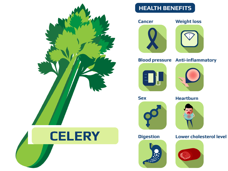 17 Amazing Benefits Of Celery For Skin, Hair &amp; Health