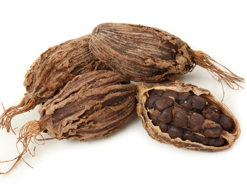 20 Best Black Cardamom Benefits, Nutrition &amp; Side Effects