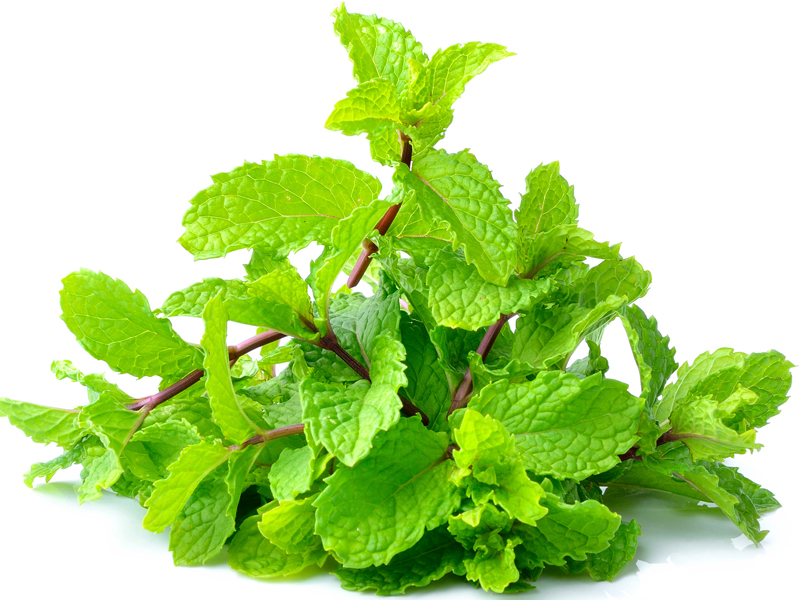 16 Best Peppermint Leaves Benefits For Skin, Hair &amp; Health !