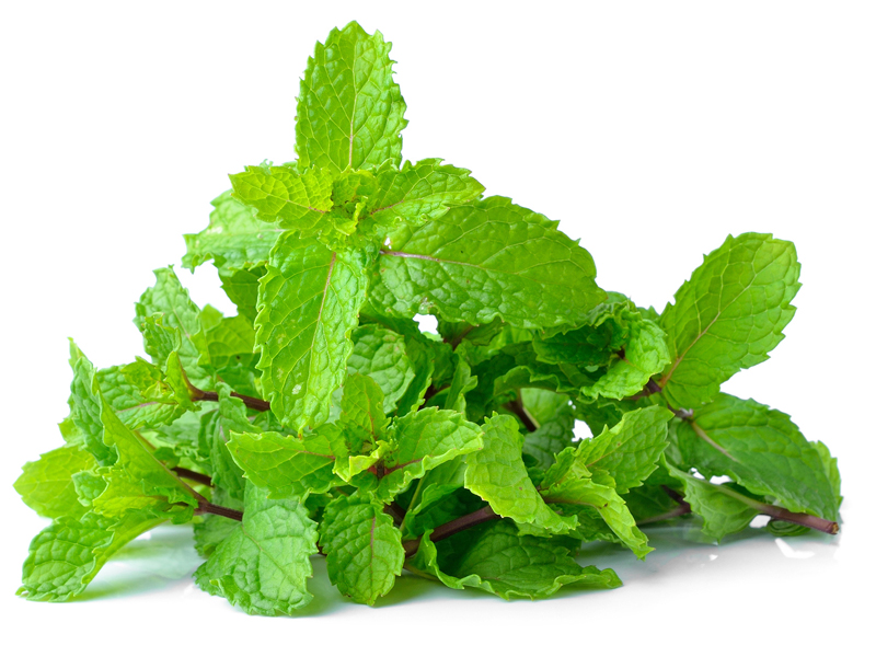 16 Best Peppermint Leaves Benefits For Skin, Hair &amp; Health !