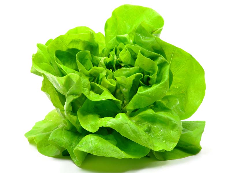 18 Best Lettuce Leaves Benefits For Skin, Hair &amp; Health !