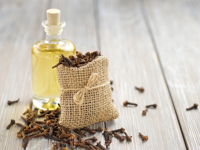 How to Use Clove Oil for Teeth? | I Fashion Styles