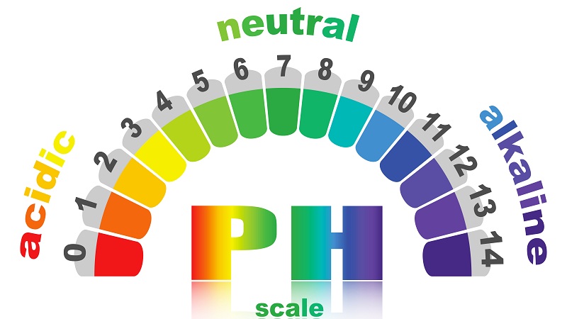 Alkaline Water: Possible Side Effects of Drinking High PH Water