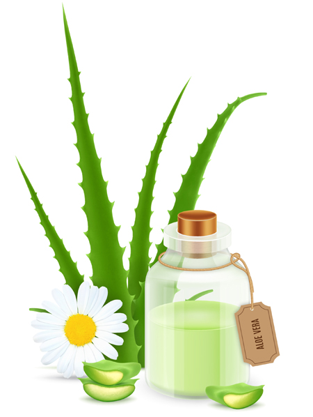 20 Evidence-Based Aloe Vera Oil Benefits For Skin, Hair &amp; Health