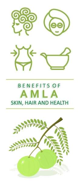 Top 15 Benefits of Amla (Indian Gooseberry) for Skin, Hair and Health
