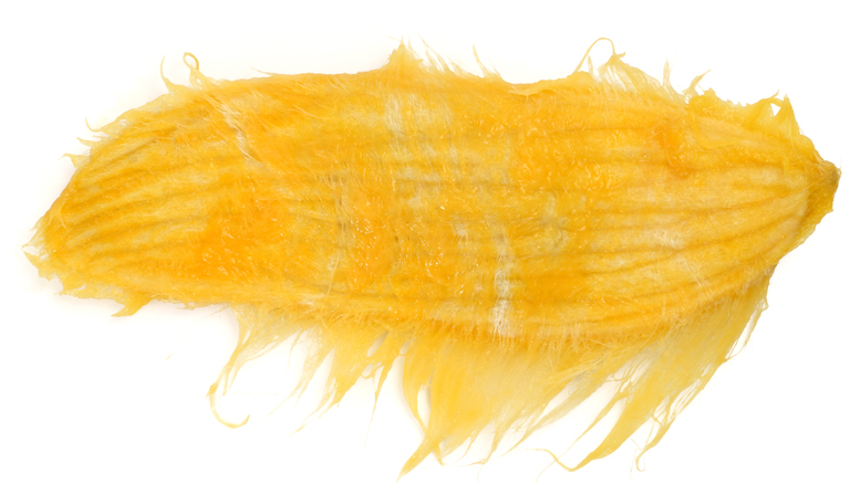 12 Evidence-Based Mango Seeds Benefits For Skin, Hair and Health