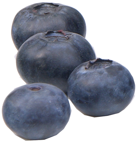 Top 20+ Extraordinary Blueberry Benefits for Health, Hair and Skin