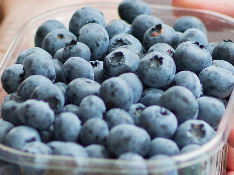 Top 20+ Extraordinary Blueberry Benefits for Health, Hair and Skin