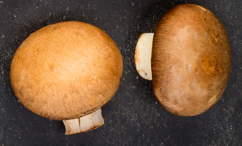 10 Best Benefits Mushrooms and Nutritional Values