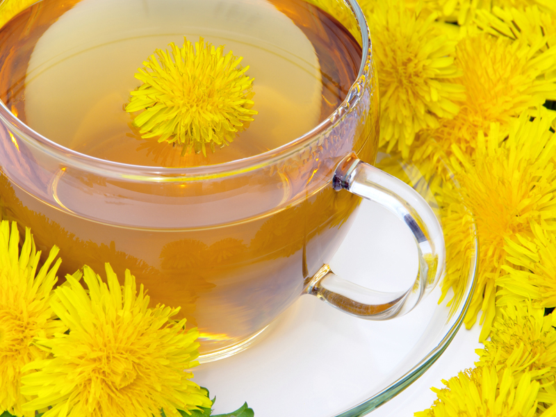 9 Exceptional Health Benefits of Drinking Dandelion Tea | I Fashion Styles