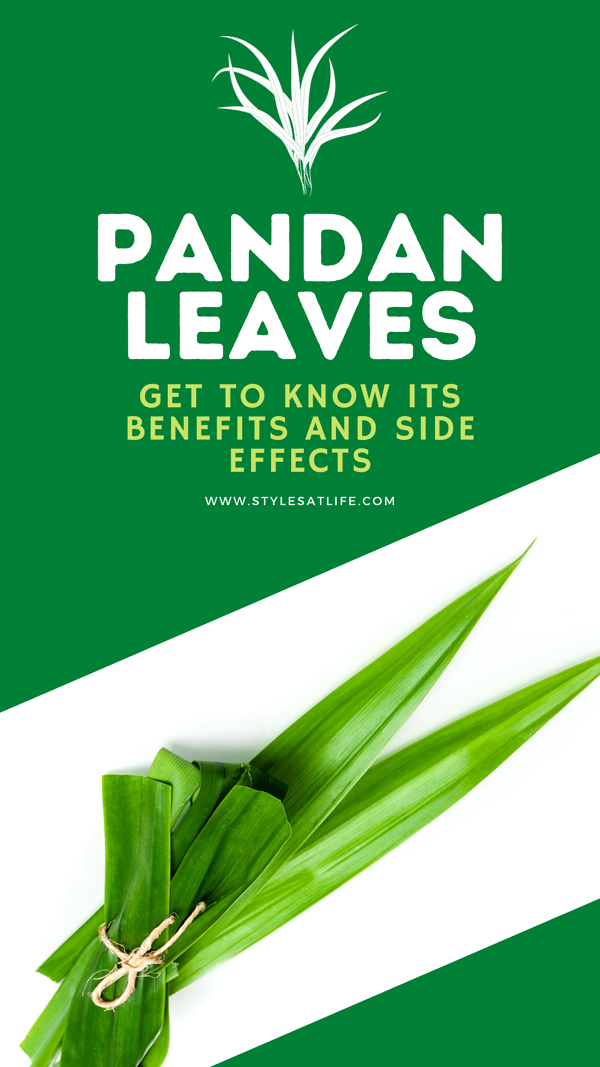 Pandan Leaves - 8 Best Health Benefits, Side Effects and Quick Recipes
