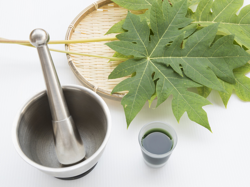 12 Impressive Papaya Leaf Juice Benefits, Side Effects and Recipe