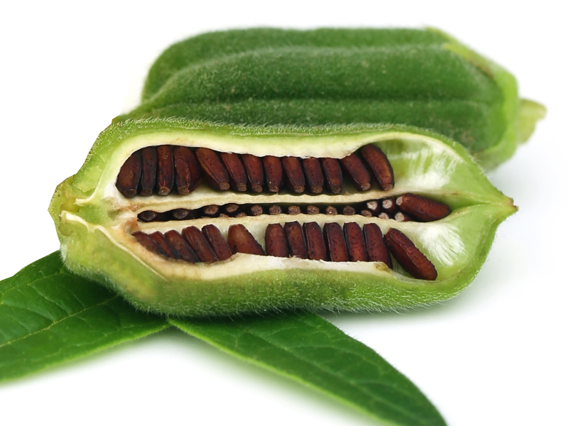 29 Impressive Benefits of Eating Sesame Seeds for Health, Skin and Hair.