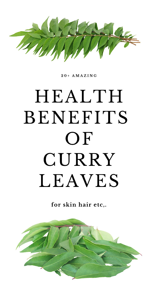 20+ Amazing Benefits and Uses of Curry Leaves | I Fashion Styles