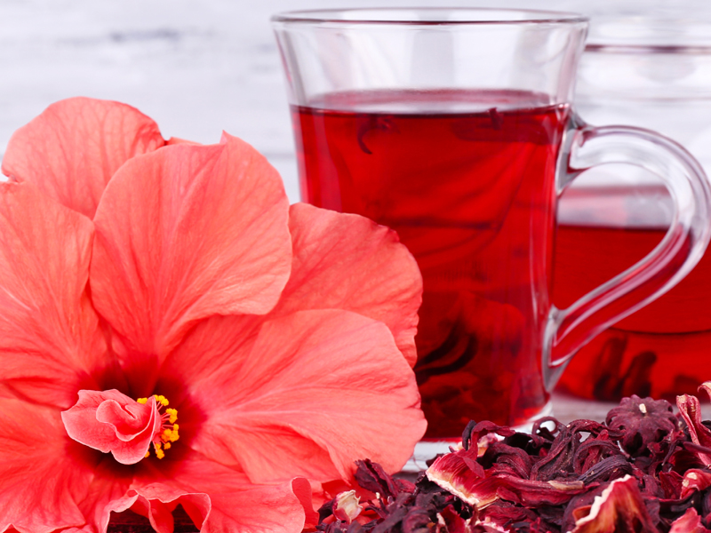 15 Best Hibiscus Tea Benefits - Which Cure Many Health Problems