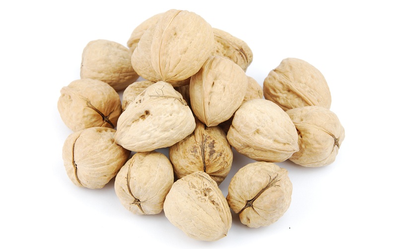Top 19 Walnut Benefits (Akhrot), Nutrition Facts and Side Effects