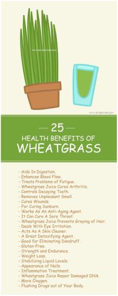 Wheatgrass Juice Uncovered: Health Benefits, Side Effects, and Uses