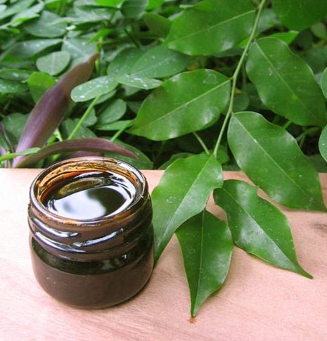 15 Effective Wet &amp; Dry Cough Medicines for Kids and Adults