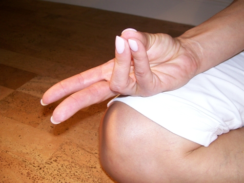 How to Do Prana Mudra, Benefits, Side Effects and Precautions.