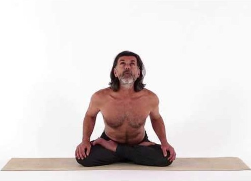 25 Historical Yoga Mudras And Its Endless Benefits For All Ages
