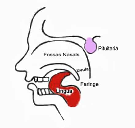 25 Historical Yoga Mudras And Its Endless Benefits For All Ages