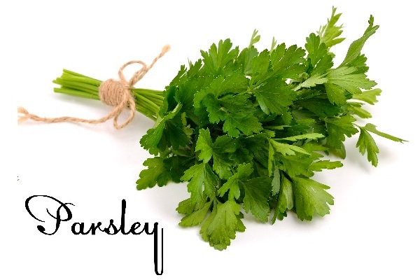 Successful Ways to Lose Weight Quickly &amp; Naturally