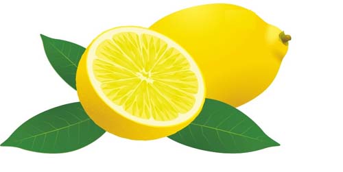 Top 10 Best Essential Oils for Weight Loss: How to Use and Benefits.