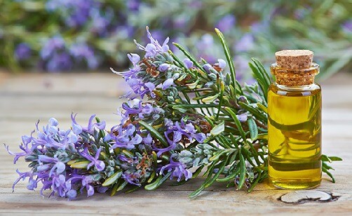Top 10 Best Essential Oils for Weight Loss: How to Use and Benefits.