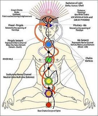 Hatha Yoga Asanas And Its Benefits In Dailed | I Fashion Styles