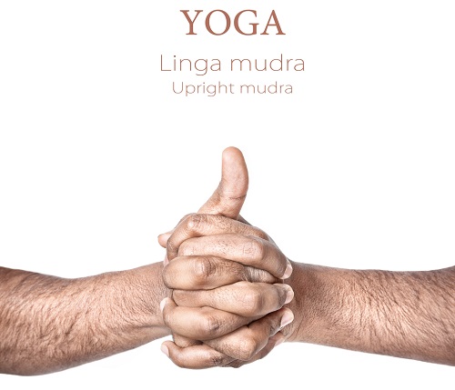 15 Best Yoga Asanas and Mudras to Cure Diabetes! | I Fashion Styles