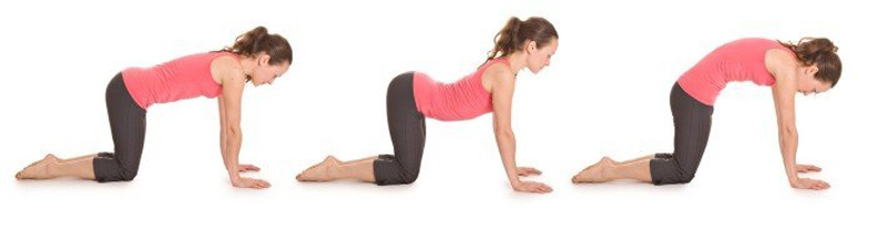 Cat Pose or Marjariasana (Bidalasana) Yoga: Step By Step Guide