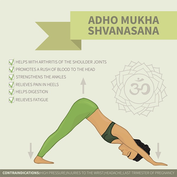 Adho Mukha Svanasana Steps and Benefits