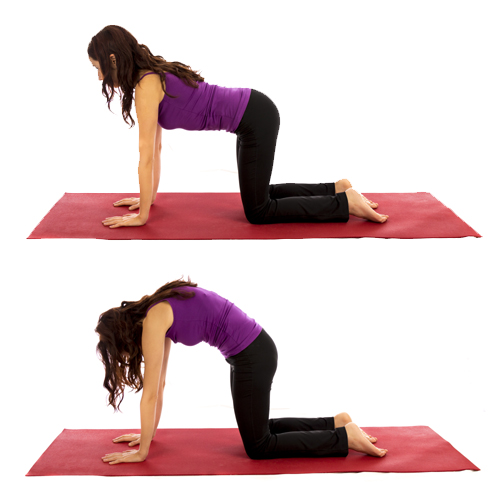 Yoga for Osteoporosis: Poses, Tips, and Safe Practices