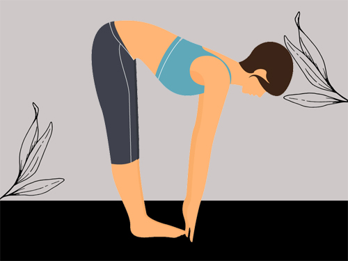 Learn Surya Namaskar A, B, and C in Ashtanga Yoga