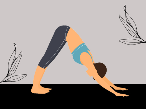 Learn Surya Namaskar A, B, and C in Ashtanga Yoga