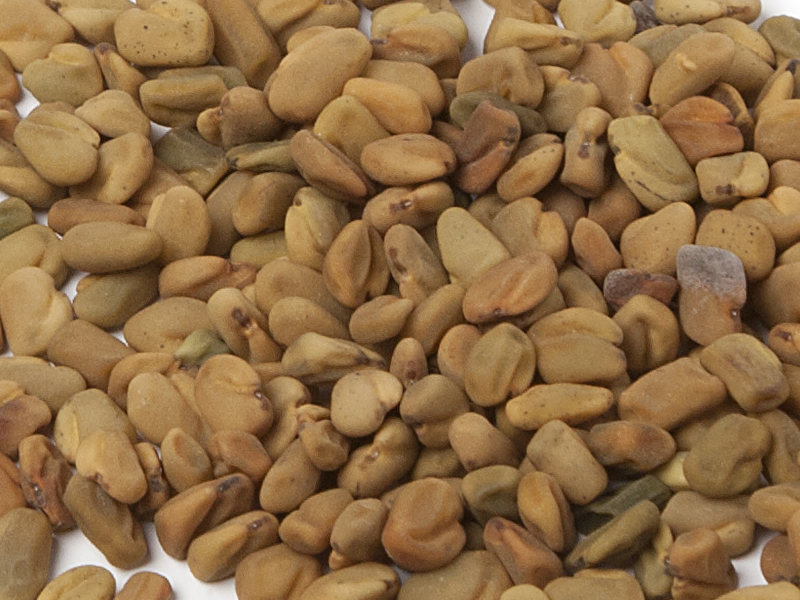 Let’s Find Out – Is Fenugreek Safe for Breastfeeding?