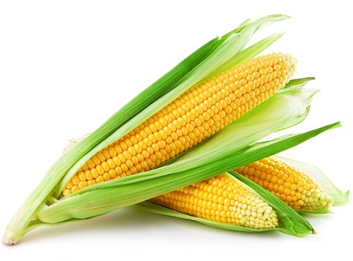 Breastfeeding and Food Sensitivities: What Foods to Avoid