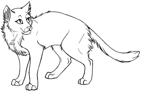 Cat Coloring Pages: Best 15 Free Cat Colouring Sheets for Kids