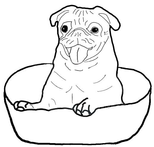 15 Simple and Best Dog Coloring Pages Free to Print