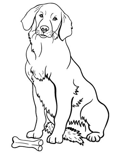 15 Simple and Best Dog Coloring Pages Free to Print