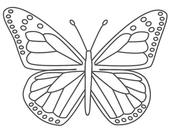 Butterfly Coloring Pages: 15 Free Pictures for Kids!