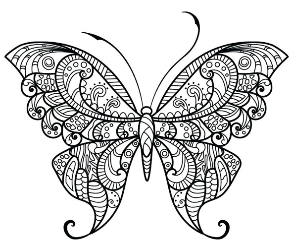 Butterfly Coloring Pages: 15 Free Pictures for Kids!