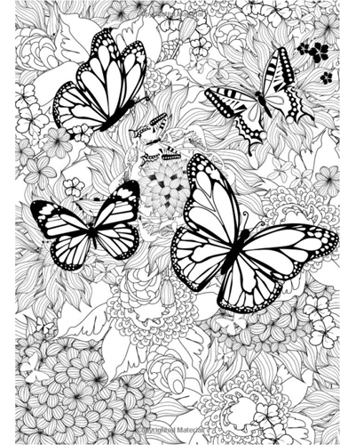 Butterfly Coloring Pages: 15 Free Pictures for Kids!