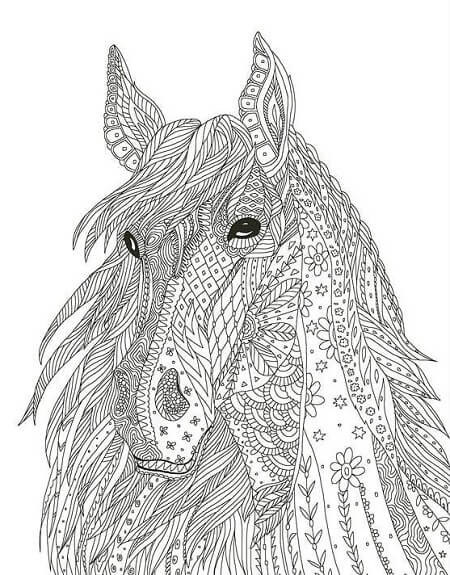 15 Beautiful Horse Coloring Pages for Kids
