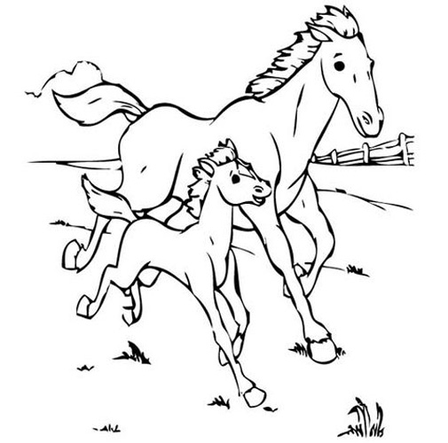 15 Beautiful Horse Coloring Pages for Kids