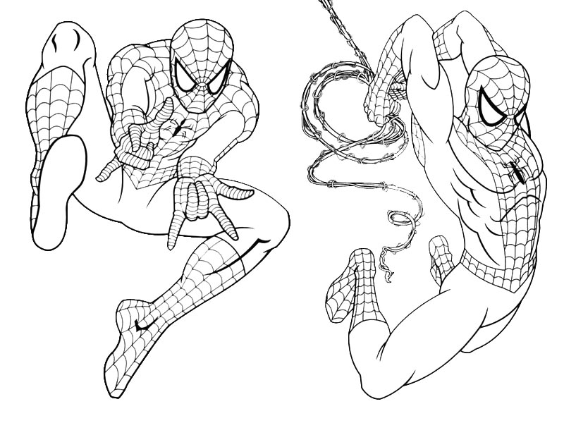 25 Free Spiderman Coloring Pages to Print and Enjoy 2024