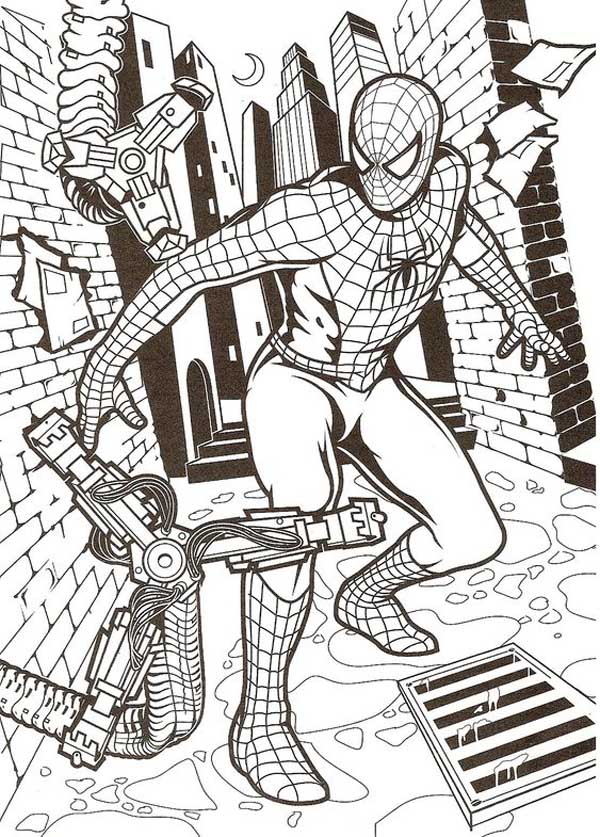 25 Free Spiderman Coloring Pages to Print and Enjoy 2024