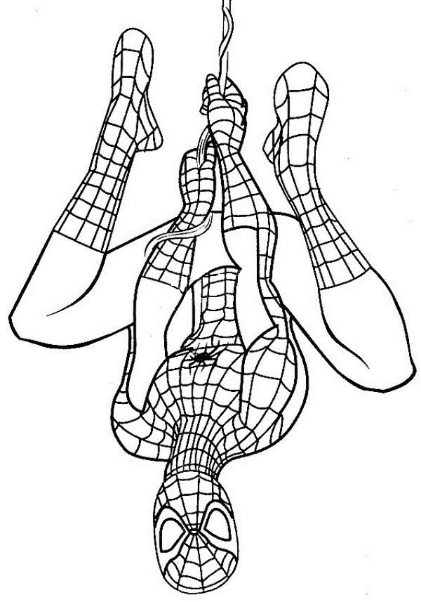 25 Free Spiderman Coloring Pages to Print and Enjoy 2024