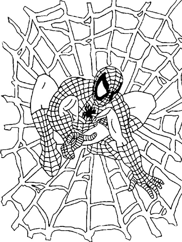 25 Free Spiderman Coloring Pages to Print and Enjoy 2024